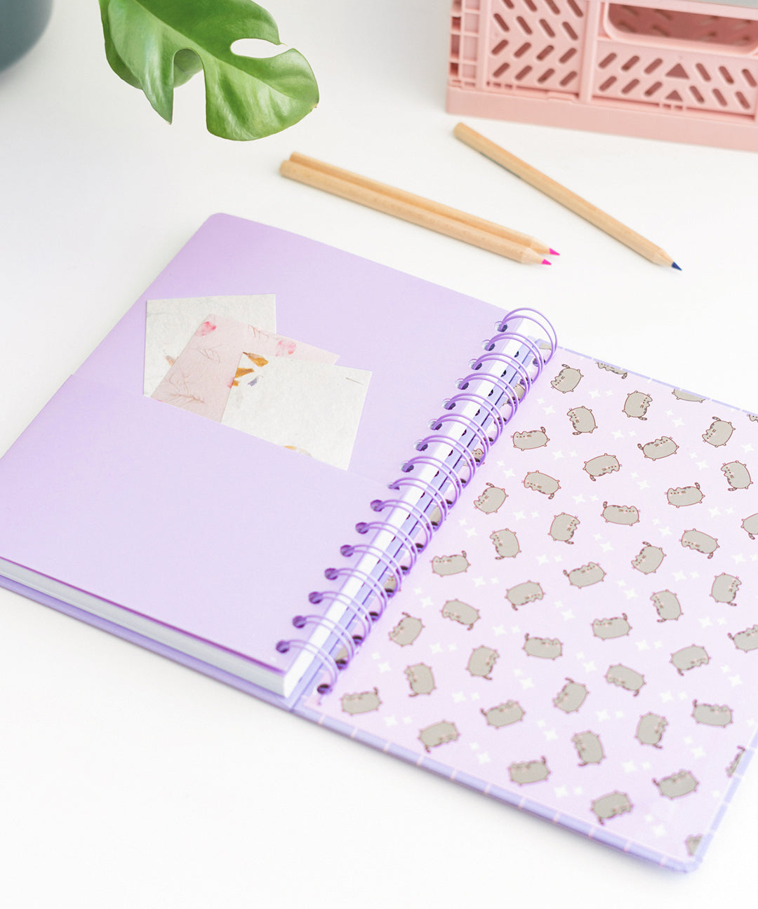 Pusheen Naptime Notebook