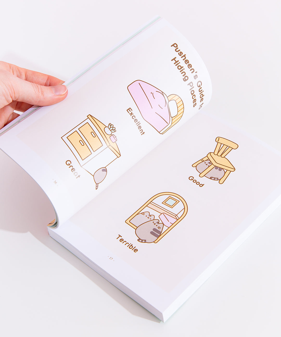 Pusheen the Cat's Guide to Everything Paperback